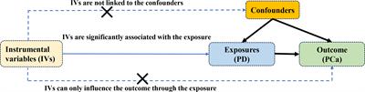 Absence of causal relationship between Parkinson’s disease and subsequent prostate cancer: evidence from meta-analysis and Mendelian randomization studies